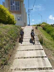 peaches_ss 🌀 Pic 6