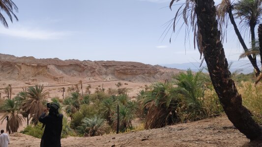 Public de Vikingz24  5 Imagens