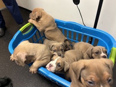 mariianebabePublic图片 3