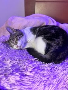 ailen_wood My love Rini 💘 Gambar 9