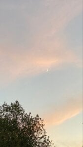 xxxRanaxxx Public Pic 4