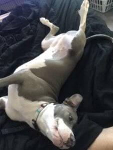 bottombeargaming THE ONLY WOMAN FOR ME Pic 5