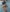 Nicolle_Roses JACUZZI TIME 💦 Pic 2