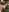 GingerSnap33 Live Stream Photo Requests Pic 4