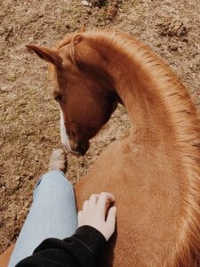 NickyAdamidi Foot fetishes Pic 3