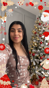 🎄 Navidad 2025 ⛄ de Diane_Ritz  4 Imagens