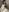 jessymorgan_ 🛌🔥 Whispers Under the Sheets 💦 Pic 3