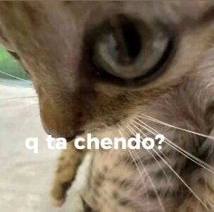 Zdjęcia suzumi__ ¿: 