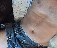 Lovyourpuss Public Immagine 