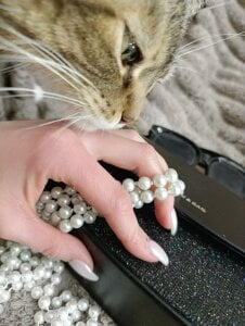 jose_fairy Business vibe 😋 зображення 4