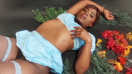 LindaBird thanksgiving Pic