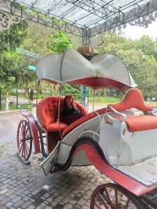 LyalyaBit79Lyalya queen!图片 3