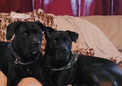 fuck-me-hard2379 Me Pic 2