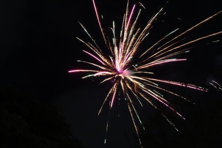 DanniG2000_ 🏞️ 🪿🌿🍃✨️ Pic 9