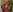 Whitney_Svonn hint: i love compliments 사진 3