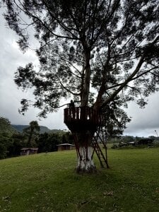 Adventure de Nikita_luan  3 Imagens