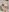 AbigailEvans1 Sorprise 😈 Pic