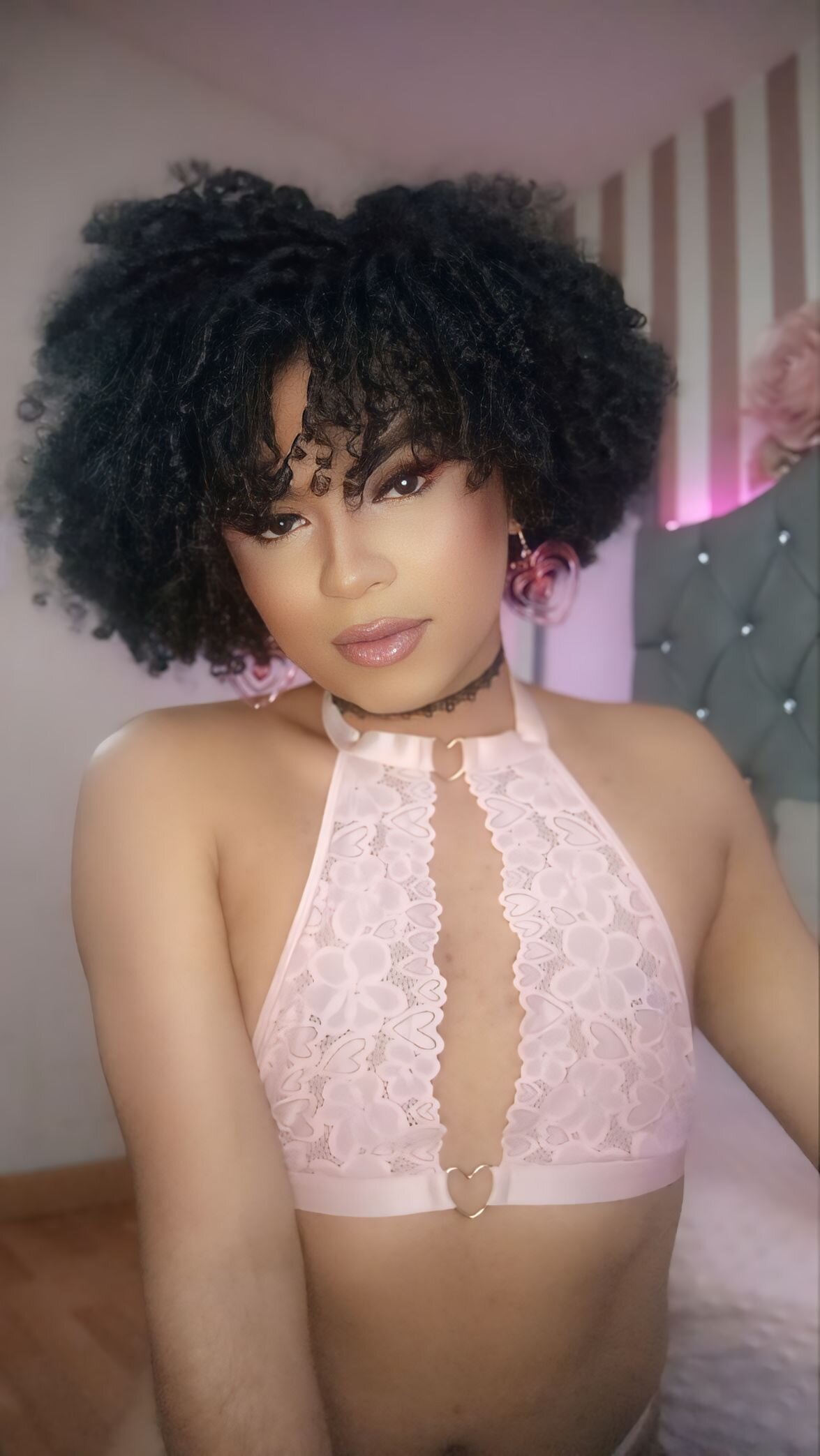 Star-Fire Poză populară 3095