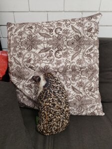 LeonaStane ;) Fotografie 2
