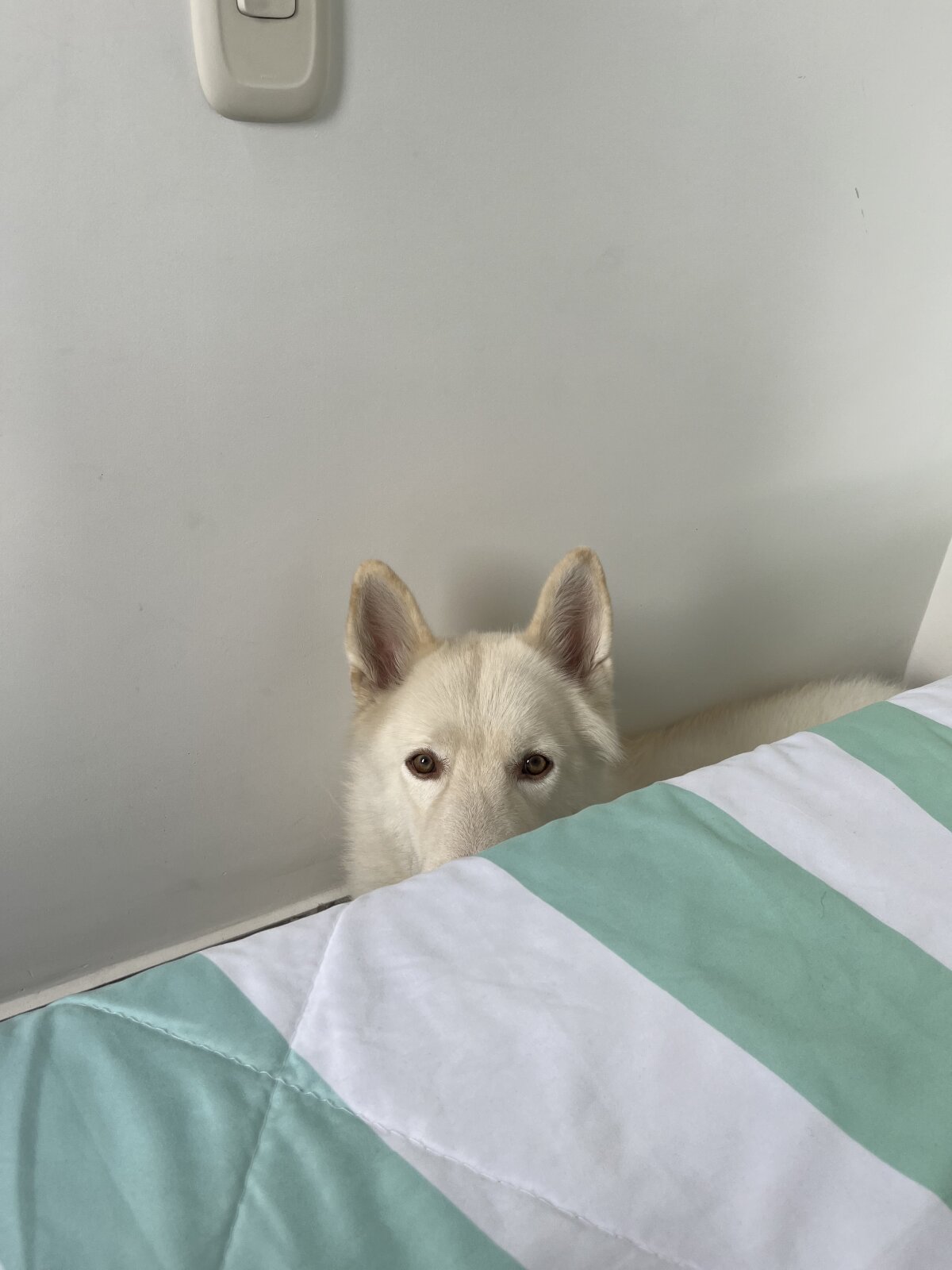 ZaneDawson popularna fotka 4960