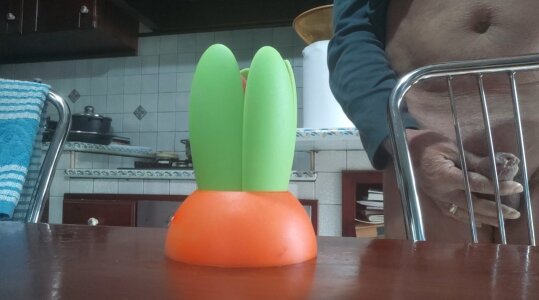 jhonschen's Cazzo in fiore Sex Photo 6