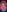 NaughtyLittleVeteran Access to Spank Club - PVT Discord Server for most Devout fans and gamers! Photo