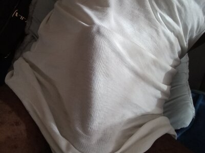 Public de Horny_Ghost_10111 Foto 5