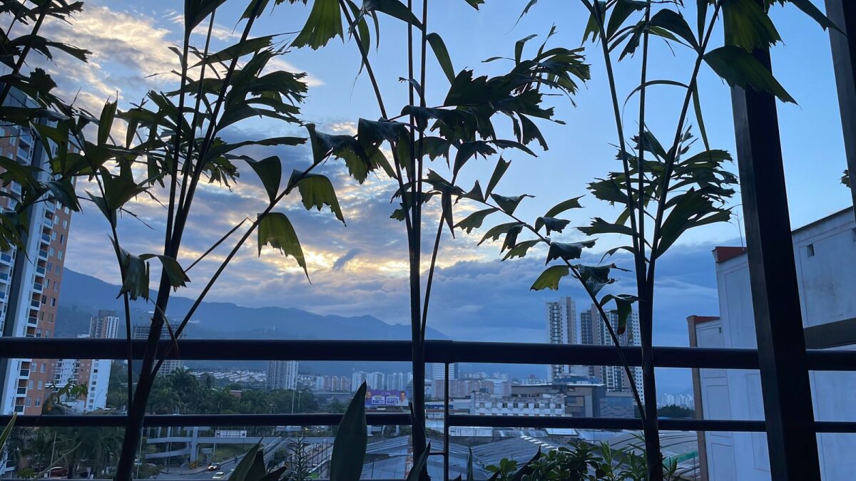 Johhan__Lee Trending Pic 3932