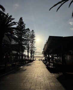 korean-monster 思い出☘️ Billede 4