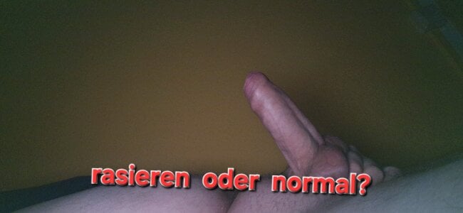 Salzgitterschwanz Public Pic 3