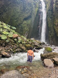 UlisesTrenh nature Pic 3