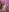 queenxlexy Lexy is super hot 🥵 Pic 5
