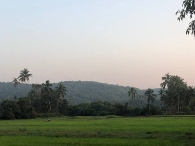 liquid0fluid0 when we was in goa!! Pic 6