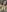 _huge_boobs_ebony You will be very hard on this Foto 3