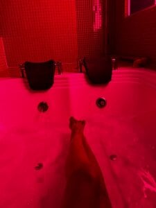 ffreyja_ I relax 😌 사진