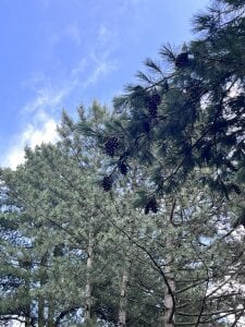 BellaBriggs 🩷🌺👄 Gambar 4