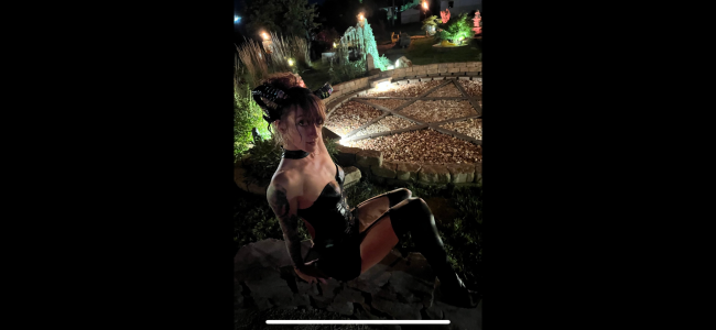 Kittaekatt A katt Kuva 9