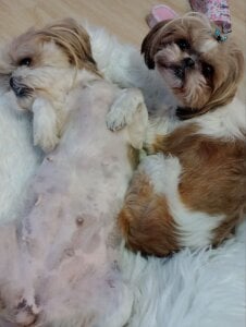 SophiaPotts Part of me صورة واحدة|SophiaPotts Part of me صورتان|SophiaPotts Part of me  3 صور|SophiaPotts Part of me  3 صورة