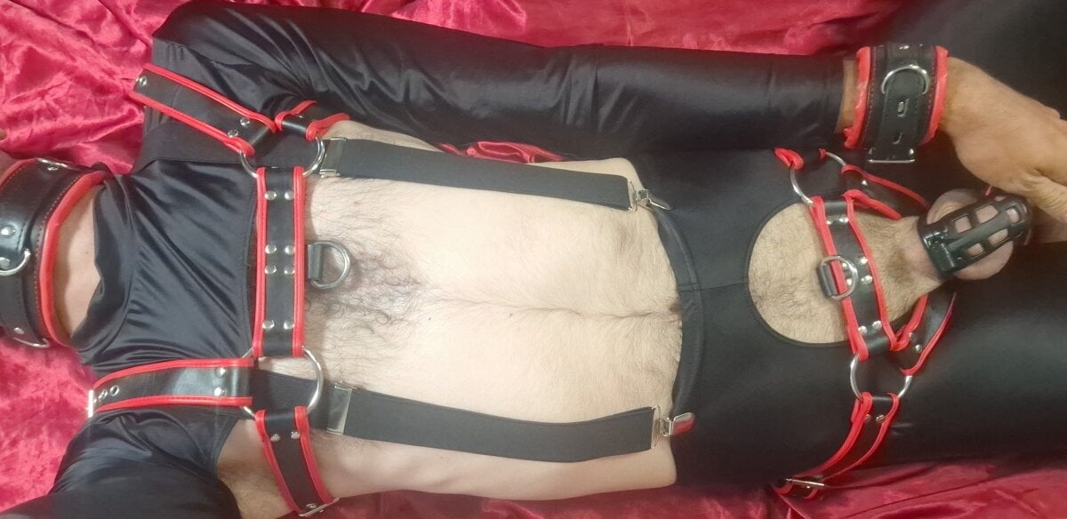 soniccheeseburger adlı kullanıcının viral fotoğrafları:  307