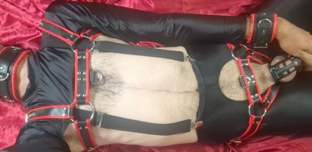 soniccheeseburger Public Pic