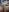 misscectito13 Chatte lisse et douce Photo 9