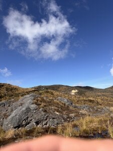 salo-rousee: landscapes ( 3 фото)