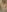 Mistress-LillyRose For paid eyes only Pic 4