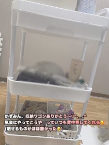 Moka_harapeko モカに届いたもの📦💖 Hình 9