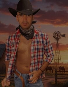 Public de HAMILTONG12  3 Imagens