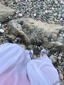 YrChocolateDonut Public Poză