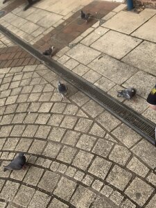 thebumgoddess87 Public Pic 4