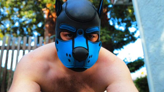 cub1Zor cub1zor Tha Pup Fotka 4