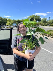 Taste_of_wild Public Pic 4