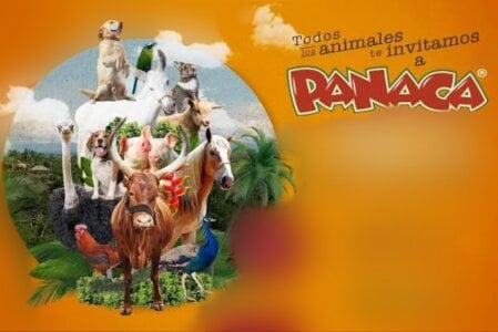 love_amor_ Soon 🧳🌞Vacationes 🧳🌞 Pic 8